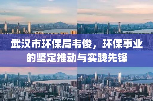 武汉市环保局韦俊，环保事业的坚定推动与实践先锋