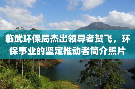 临武环保局杰出领导者贺飞，环保事业的坚定推动者简介照片