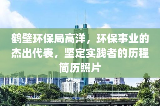 鹤壁环保局高洋，环保事业的杰出代表，坚定实践者的历程简历照片