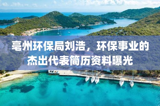 亳州环保局刘浩，环保事业的杰出代表简历资料曝光