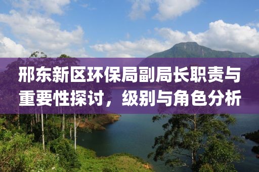 邢东新区环保局副局长职责与重要性探讨，级别与角色分析