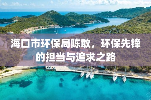 海口市环保局陈敢，环保先锋的担当与追求之路