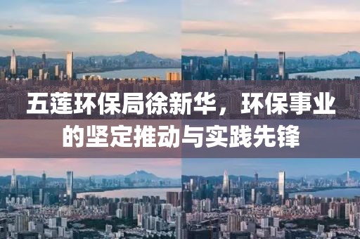 五莲环保局徐新华，环保事业的坚定推动与实践先锋