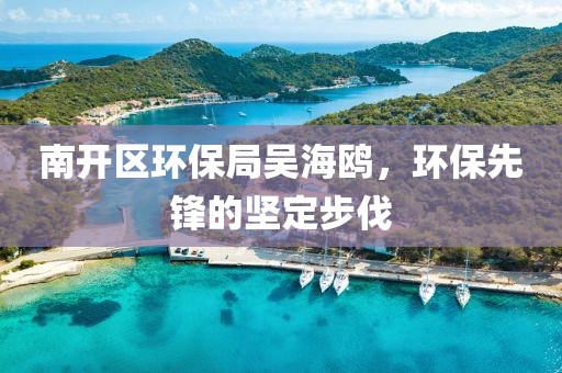 南开区环保局吴海鸥，环保先锋的坚定步伐