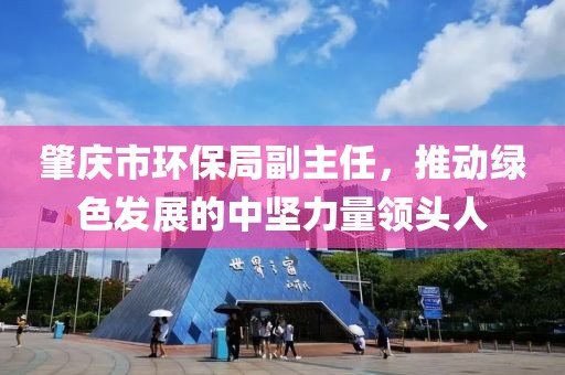 肇庆市环保局副主任，推动绿色发展的中坚力量领头人