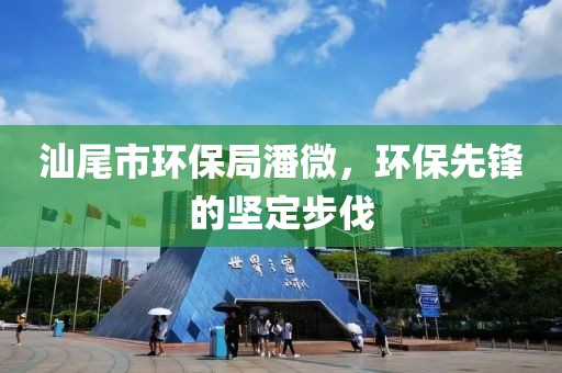 汕尾市环保局潘微，环保先锋的坚定步伐