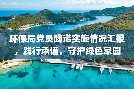 环保局党员践诺实施情况汇报，践行承诺，守护绿色家园