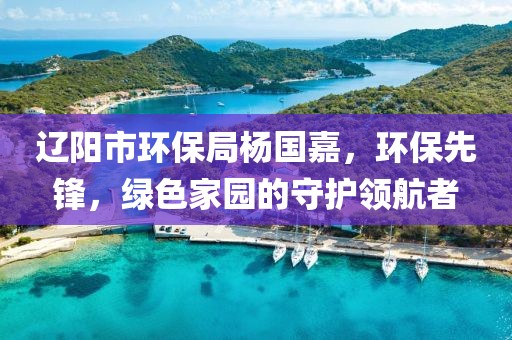 辽阳市环保局杨国嘉，环保先锋，绿色家园的守护领航者