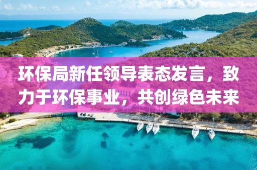 环保局新任领导表态发言，致力于环保事业，共创绿色未来