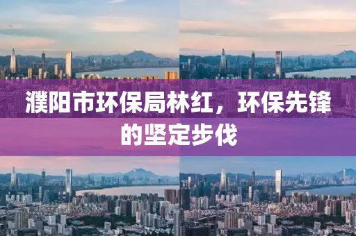 濮阳市环保局林红，环保先锋的坚定步伐