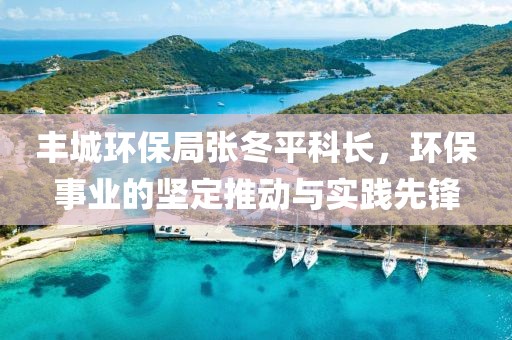 丰城环保局张冬平科长，环保事业的坚定推动与实践先锋