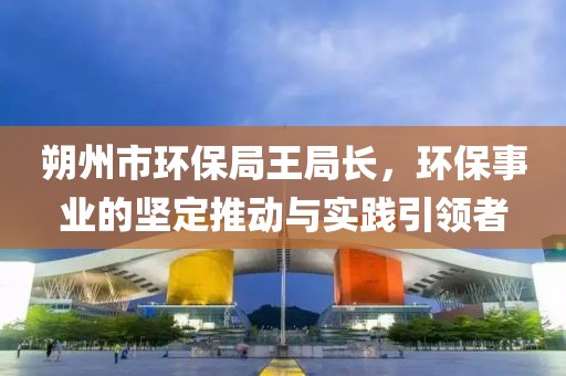 朔州市环保局王局长，环保事业的坚定推动与实践引领者