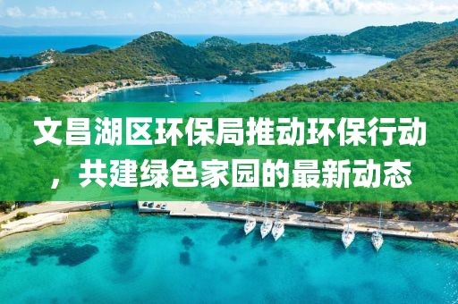 文昌湖区环保局推动环保行动，共建绿色家园的最新动态