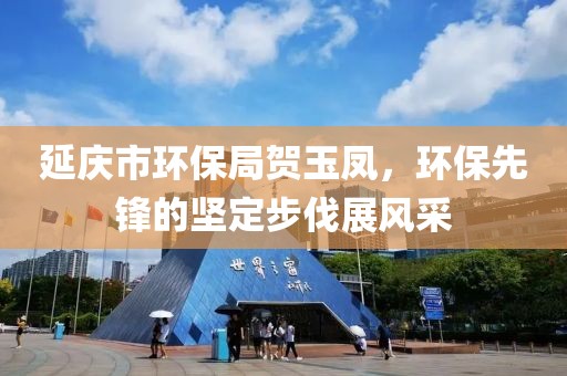 延庆市环保局贺玉凤，环保先锋的坚定步伐展风采