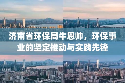 济南省环保局牛恩帅，环保事业的坚定推动与实践先锋