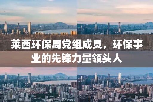 莱西环保局党组成员，环保事业的先锋力量领头人