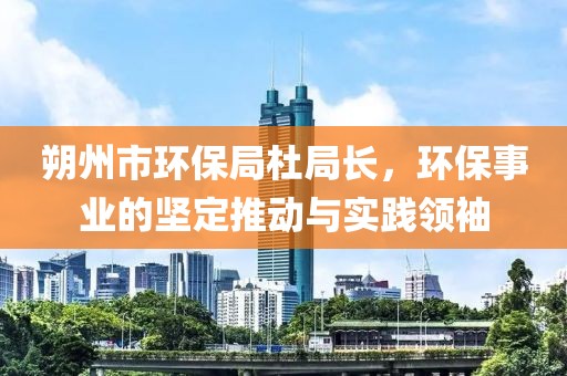 朔州市环保局杜局长，环保事业的坚定推动与实践领袖