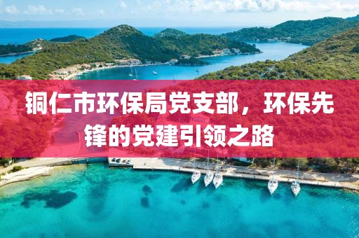 铜仁市环保局党支部，环保先锋的党建引领之路