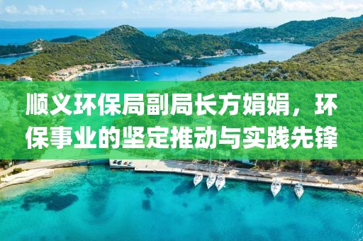 顺义环保局副局长方娟娟，环保事业的坚定推动与实践先锋