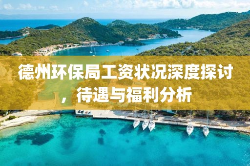 德州环保局工资状况深度探讨，待遇与福利分析