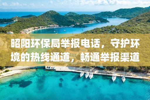 昭阳环保局举报电话，守护环境的热线通道，畅通举报渠道