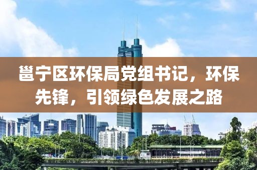 邕宁区环保局党组书记，环保先锋，引领绿色发展之路