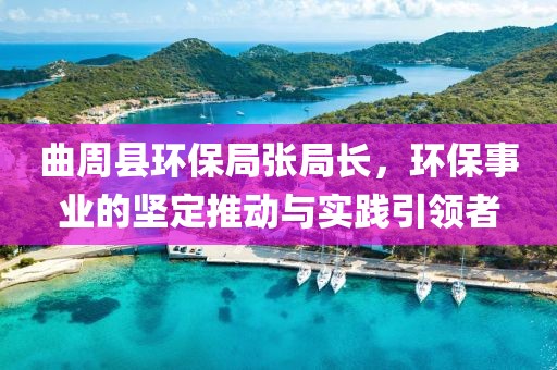 曲周县环保局张局长，环保事业的坚定推动与实践引领者