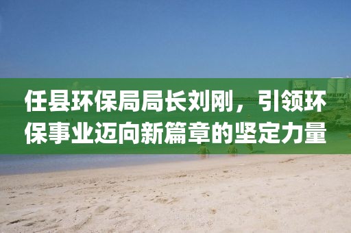 任县环保局局长刘刚，引领环保事业迈向新篇章的坚定力量