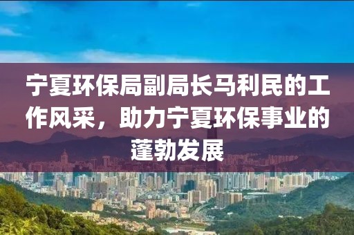 宁夏环保局副局长马利民的工作风采，助力宁夏环保事业的蓬勃发展