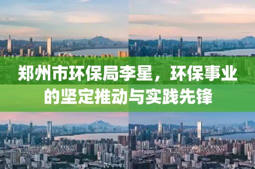 郑州市环保局李星，环保事业的坚定推动与实践先锋