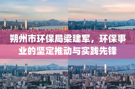 朔州市环保局梁建军，环保事业的坚定推动与实践先锋