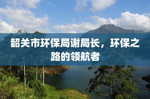 韶关市环保局谢局长，环保之路的领航者