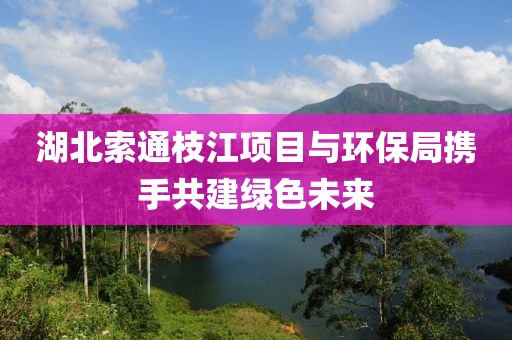 湖北索通枝江项目与环保局携手共建绿色未来