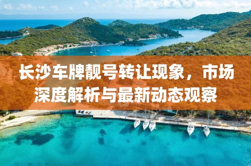 长沙车牌靓号转让现象，市场深度解析与最新动态观察