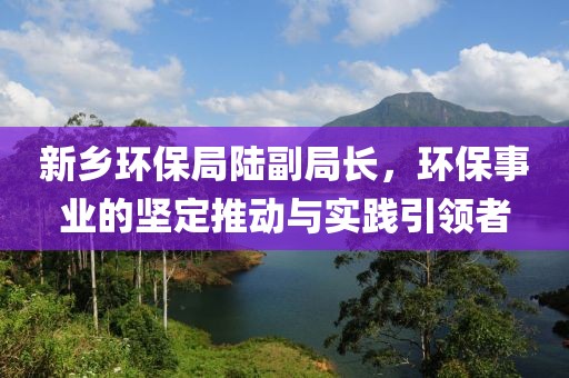 新乡环保局陆副局长，环保事业的坚定推动与实践引领者