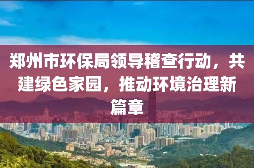 郑州市环保局领导稽查行动，共建绿色家园，推动环境治理新篇章