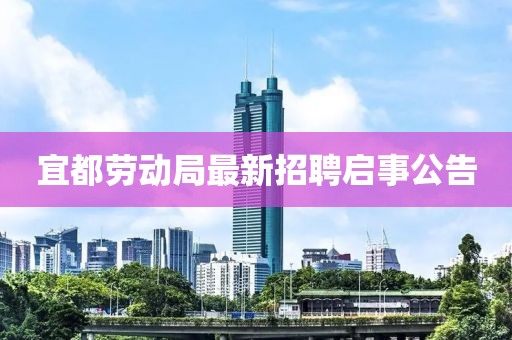 宜都劳动局最新招聘启事公告