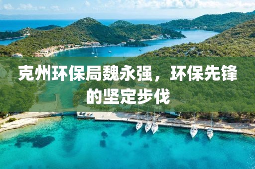 克州环保局魏永强，环保先锋的坚定步伐