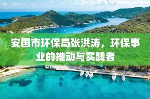 安国市环保局张洪涛，环保事业的推动与实践者