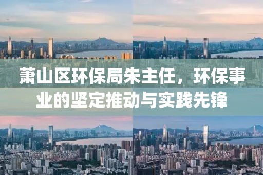 萧山区环保局朱主任，环保事业的坚定推动与实践先锋