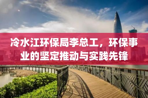 冷水江环保局李总工，环保事业的坚定推动与实践先锋