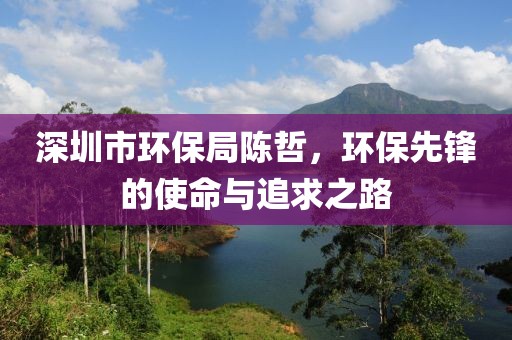 深圳市环保局陈哲，环保先锋的使命与追求之路