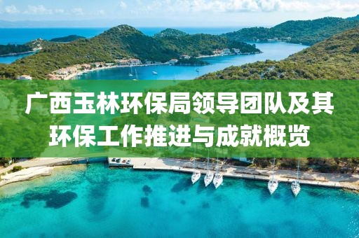 广西玉林环保局领导团队及其环保工作推进与成就概览