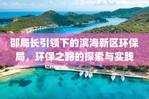 邵局长引领下的滨海新区环保局，环保之路的探索与实践