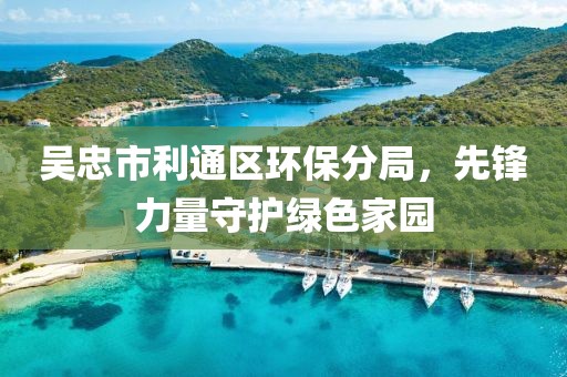 吴忠市利通区环保分局，先锋力量守护绿色家园