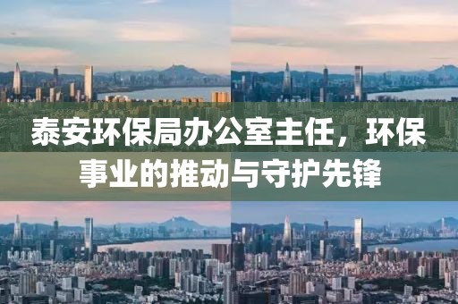 泰安环保局办公室主任，环保事业的推动与守护先锋