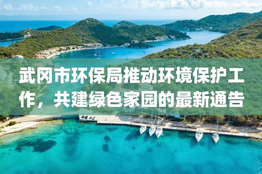 武冈市环保局推动环境保护工作，共建绿色家园的最新通告