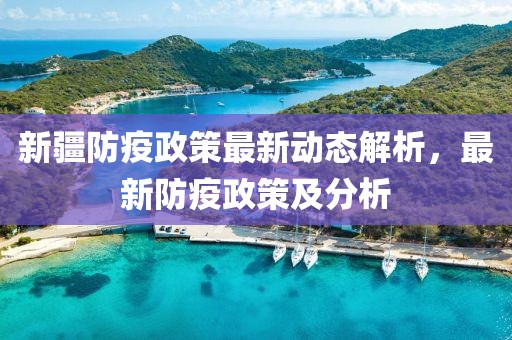 新疆防疫政策最新动态解析，最新防疫政策及分析