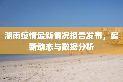 湖南疫情最新情况报告发布，最新动态与数据分析