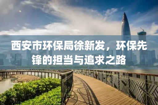 西安市环保局徐新发，环保先锋的担当与追求之路